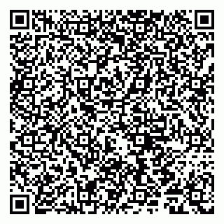 vCard 79011980285