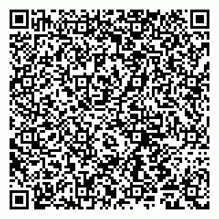 vCard 79011980289