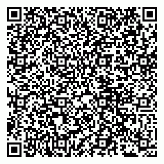 vCard 79011980298