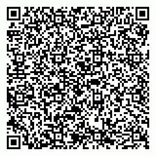 vCard 79011980299