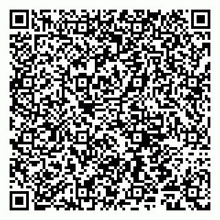 vCard 79011980309