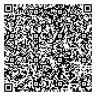 vCard 79011980324