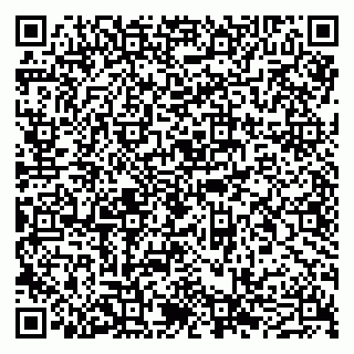 vCard 79011980333