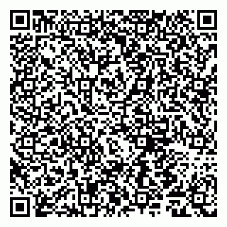 vCard 79011980373