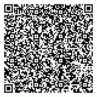 vCard 79011980378