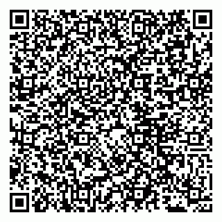 vCard 79011980381