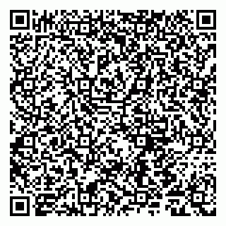 vCard 79011980382