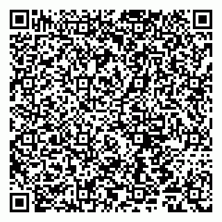 vCard 79011980390