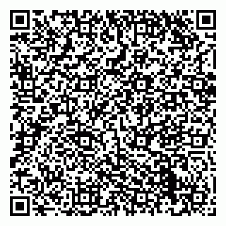 vCard 79012000381