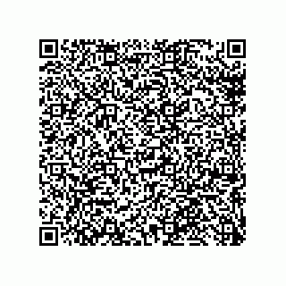 vCard 79013000294
