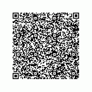 vCard 79013000539