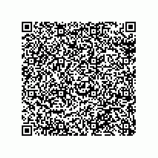 vCard 79013002002