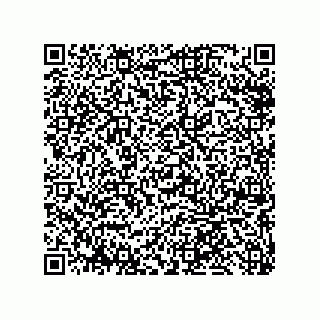 vCard 79013002939