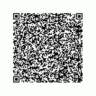 vCard 79013003128