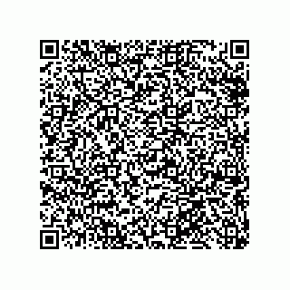vCard 79013003131
