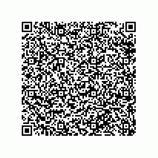 vCard 79013003221