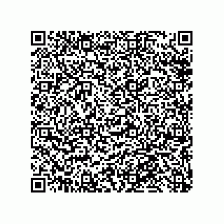 vCard 79013003222