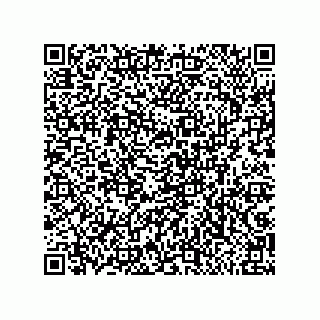 vCard 79013003291