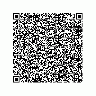 vCard 79013003303