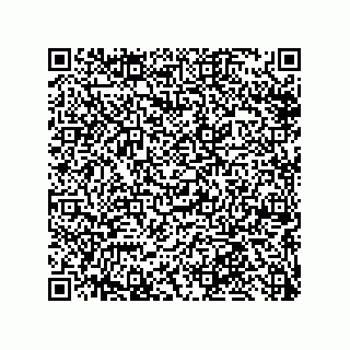 vCard 79013003304