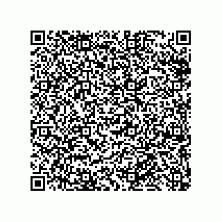 vCard 79013003333