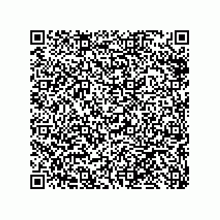 vCard 79013296039