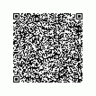 vCard 79013297473