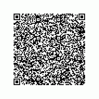 vCard 79013297539