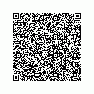 vCard 79013298739
