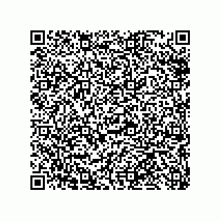 vCard 79013299439