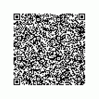 vCard 79013299795