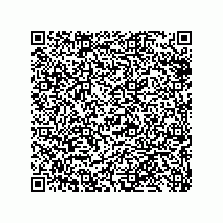 vCard 79013299839