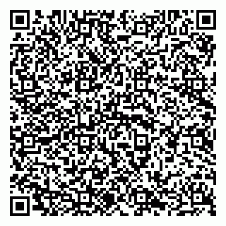 vCard 79014600293
