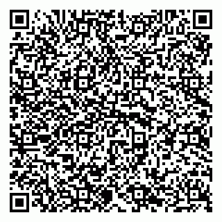 vCard 79014600329