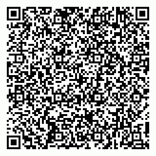 vCard 79015002913