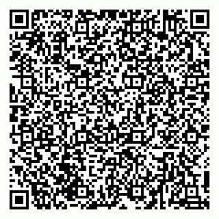 vCard 79016000533