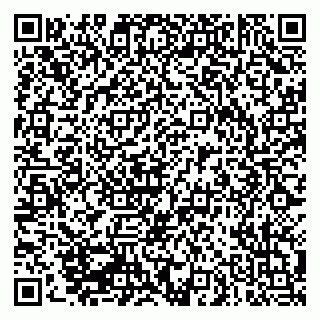 vCard 79016150313