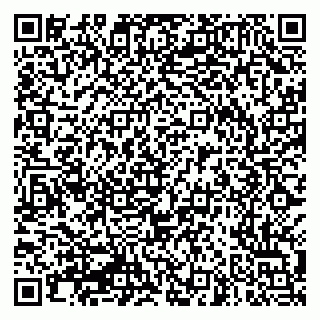 vCard 79016290031