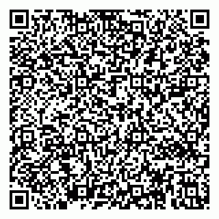 vCard 79017002813