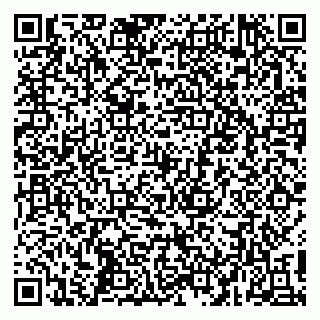 vCard 79017002913