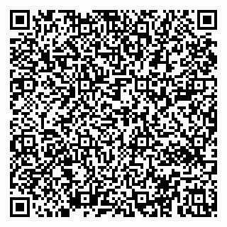 vCard 79017002929