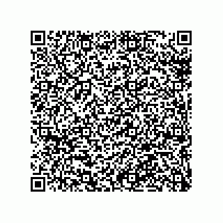 vCard 79018000294