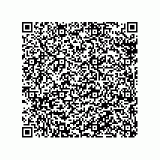 vCard 79018000331