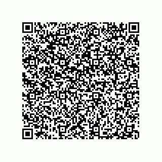 vCard 79018000380
