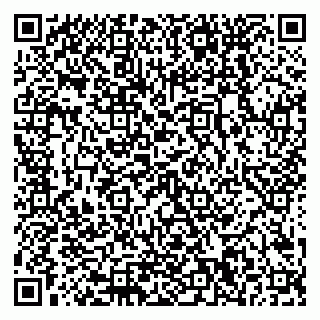 vCard 79018220033