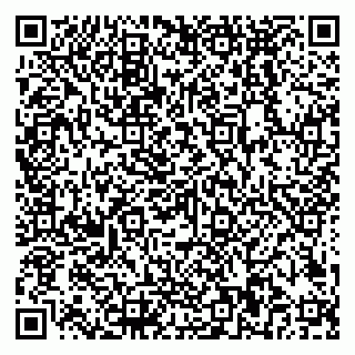 vCard 79018880131