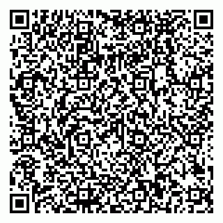vCard 79018880133