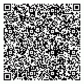 vCard 79018880137