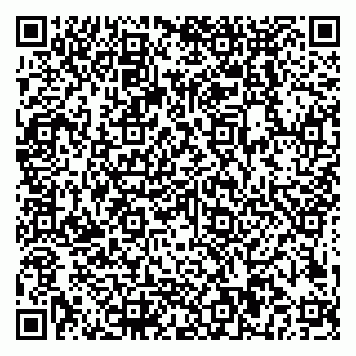 vCard 79018880153