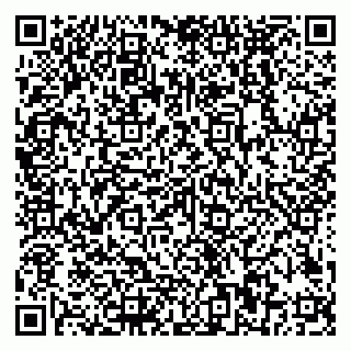 vCard 79018880209